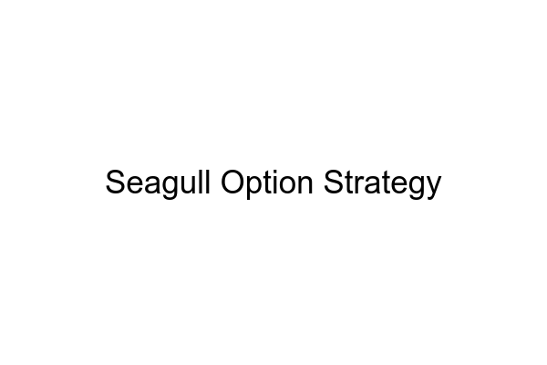 Seagull Option Strategy